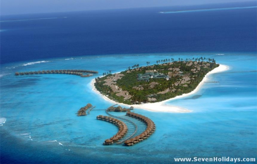 984.jpg