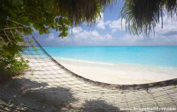 Island Hideaway
